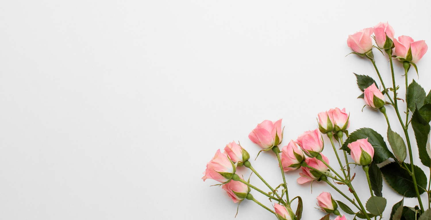 copy-space-roses