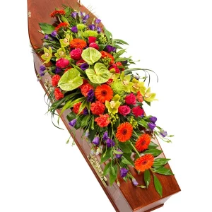 Vibrant Coffin Spray as fresh as a flower, best fresh flower delivery, birthday flowers for grave, bromley flowers, Bromley Funeral Flowers, bromleys funeral, cheap real flowers near me, cut flowers online, dad funeral flowers, dignity memorial flowers, florist, florist near me, flower that represents death, flowers funeral home, fresh as a flower, fresh christmas flowers, fresh floral studio, fresh flourish bouquet, fresh tropical flowers, fresh wisteria flowers, funeral flower catalog, funeral flowers uk, keeping cut roses fresh, keeping roses fresh, rose thyme, swinging heart meaning, tiger lily, wells flowers