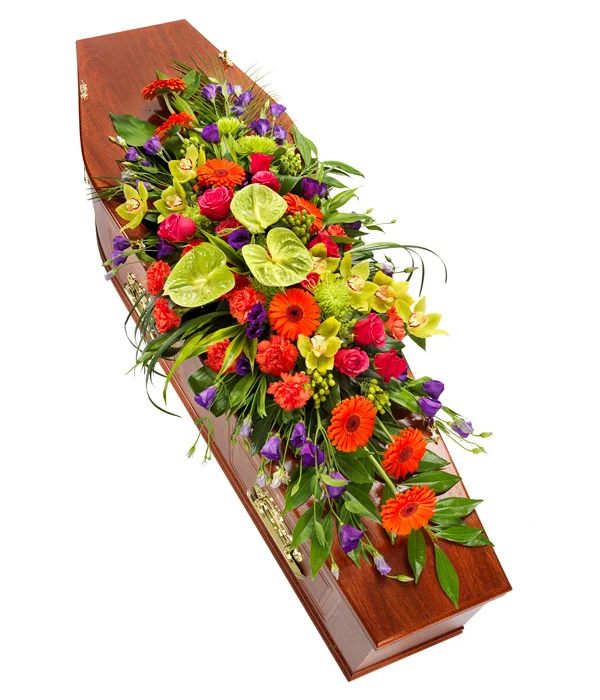 Vibrant Coffin Spray as fresh as a flower, best fresh flower delivery, birthday flowers for grave, bromley flowers, Bromley Funeral Flowers, bromleys funeral, cheap real flowers near me, cut flowers online, dad funeral flowers, dignity memorial flowers, florist, florist near me, flower that represents death, flowers funeral home, fresh as a flower, fresh christmas flowers, fresh floral studio, fresh flourish bouquet, fresh tropical flowers, fresh wisteria flowers, funeral flower catalog, funeral flowers uk, keeping cut roses fresh, keeping roses fresh, rose thyme, swinging heart meaning, tiger lily, wells flowers