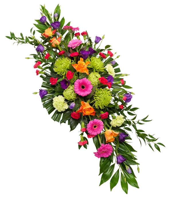 Vibrant Double Spray