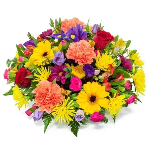Bright & Vibrant Posy best fresh flower delivery, birthday flowers for grave, bromley flowers, Bromley Funeral Flowers, bromleys funeral, cheap real flowers near me, cut flowers online, dad funeral flowers, dignity memorial flowers, florist, florist near me, florist uk, flower that represents death, flowers delivered bromley uk, flowers funeral home, fresh as a flower, fresh christmas flowers, fresh floral studio, fresh flourish bouquet, fresh tropical flowers, fresh wisteria flowers, funeral flower catalog, funeral flowers uk, keeping cut roses fresh, keeping roses fresh, rose thyme, swinging heart meaning, tiger lily, wells flowers