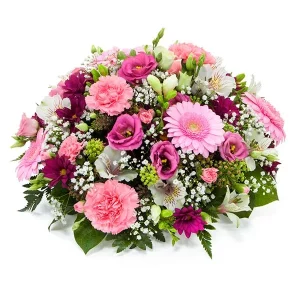 Pink Posy