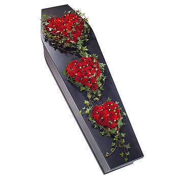 We are Family Red Rose Heart Trio